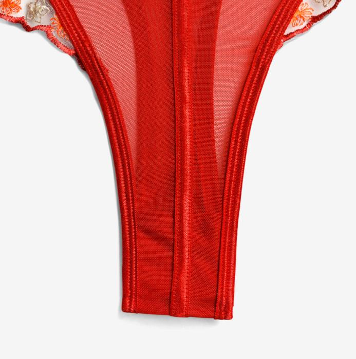 Lucina Embroidered Mesh Bodysuit-Red-L-Bodies & Teddies-StylinArts