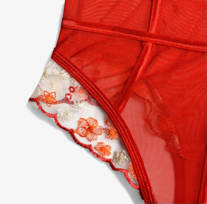 Lucina Embroidered Mesh Bodysuit-Red-L-Bodies & Teddies-StylinArts