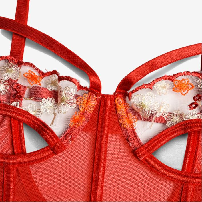 Lucina Embroidered Mesh Bodysuit-Red-L-Bodies & Teddies-StylinArts