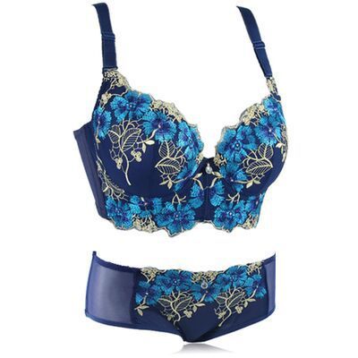 elestia Embroidered Lace Set-Blue-70A-Bras and Briefs-StylinArts