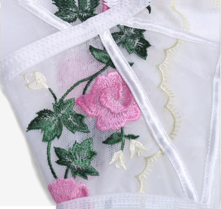 Rosavine Embroidered Illusion Bodysuit-White-L-Basques-StylinArts