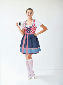 Charming Bavarian Dirndl Costume - Traditional Oktoberfest Outfit