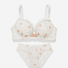 Primavera Print Mesh Bra Set