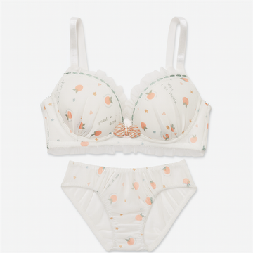 Primavera Print Mesh Bra Set-Peach-70B-Bra-StylinArts