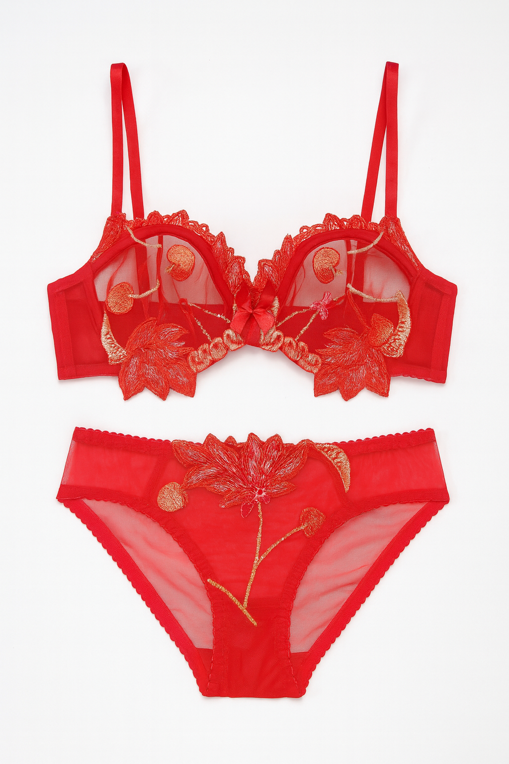 Elara Embroidered Mesh Bra & Brief Set-Red-70B-Bras and Briefs-StylinArts