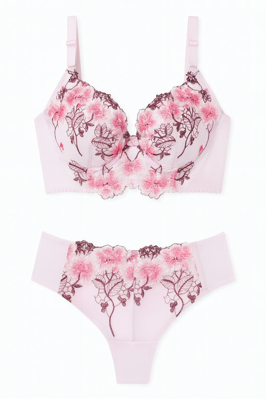 Florentia Lace Embroidered Lingerie Set-Pink-70A-Bras and Briefs-StylinArts