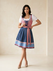 Charming Bavarian Dirndl Costume - Traditional Oktoberfest Outfit