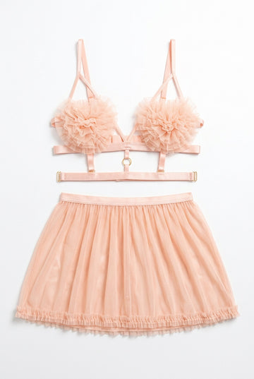 Blush Rosette Mesh Babydoll Set