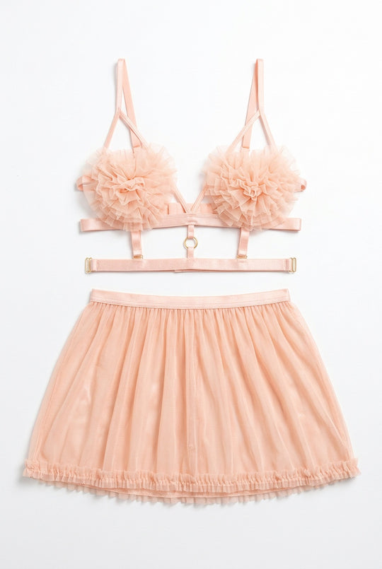 Blush Rosette Mesh Babydoll Set