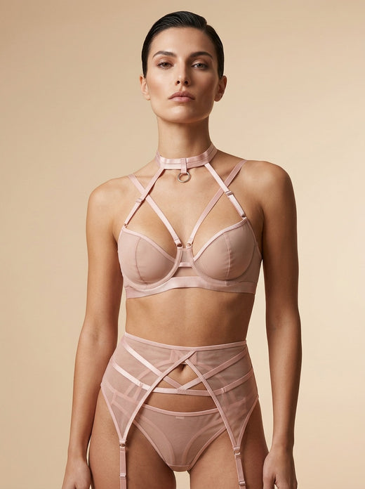 Rosa Velata Sheer Harness Lingerie Set