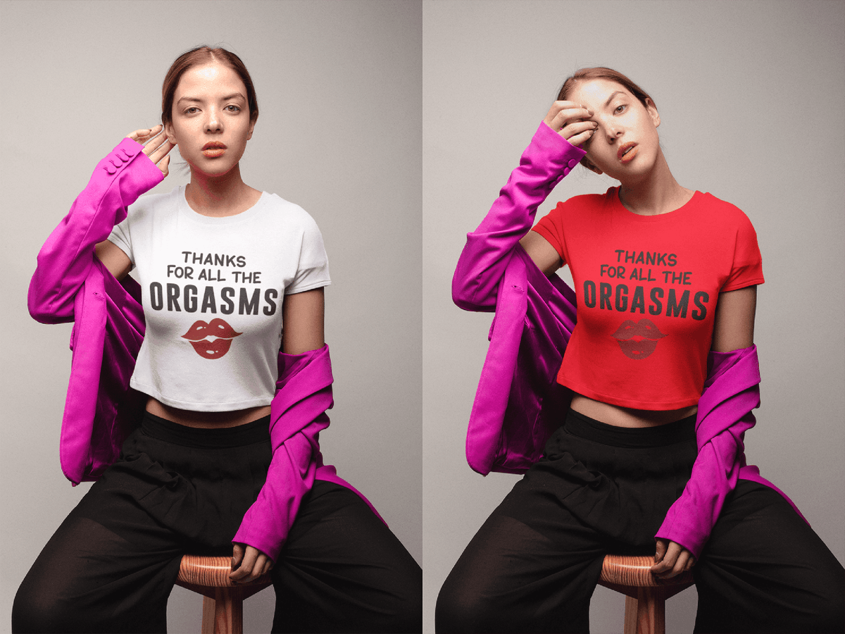 Thanks For All The Orgasms T-Shirt – Sexy Valentine’s Day Crop Tee-White-S-Regular Fit Tee-StylinArts