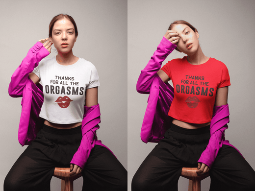 Thanks For All The Orgasms T-Shirt – Sexy Valentine’s Day Crop Tee-White-S-Regular Fit Tee-StylinArts